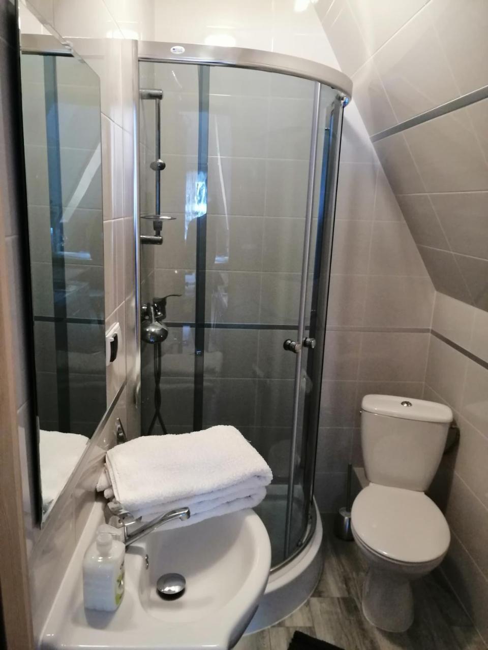 Apartament Stary Mlyn Zakopane Bagian luar foto